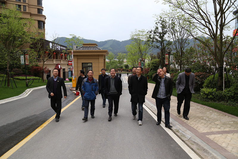 集團(tuán)公司領(lǐng)導(dǎo)調(diào)研瀾庭國際項(xiàng)目建設(shè)銷售情況